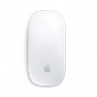 Magic Mouse -  Multi-Touch Surface