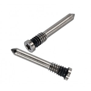 Bottom screws of iPhone 16
